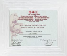 panhellenic_congress_of_plastic_reconstructive_and_aesthetic_surgery_2003